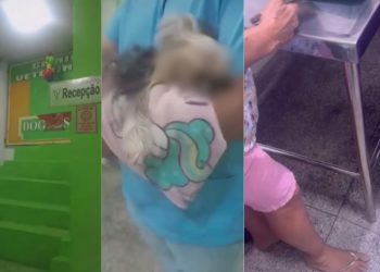 'Trouxe ela com vida': idosa recebe cadela m0rt4 após atendimento em clínica no São José; vídeo