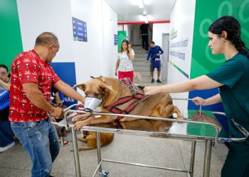 Desde a inauguração, no dia 4 de outubro, até o último sábado, 11/10, mais de mil animais já foram atendidos na unidade. Foto: Antonio Lima - Semcom