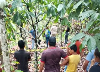 O homem adulto conseguiu ser retirado com vida do local e foi levado para o Hospital Municipal de Medicilândia. Foto: Reprodução