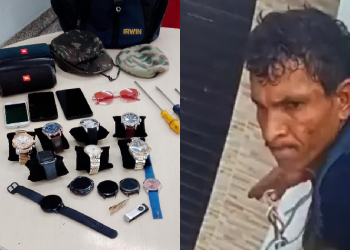 O apoio da população, por meio das denúncias, foi primordial para que o infrator pudesse ser localizado. Foto: Erlon Rodrigues e Divulgação/PC-AM