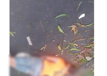 O acidente ocorreu na tarde desta quarta-feira (8). Foto: Reprodução