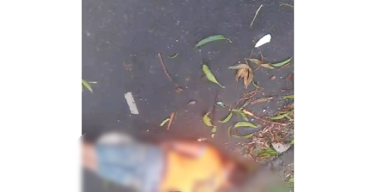 O acidente ocorreu na tarde desta quarta-feira (8). Foto: Reprodução