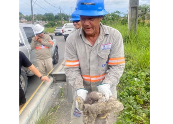 O ocorrido foi confirmado pela Amazonas Energia, concessionária responsável pelo serviço. Foto: Reprodução