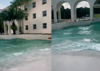 A novidade promete entre os manauaras e os turistas de fora. Foto: Reprodução