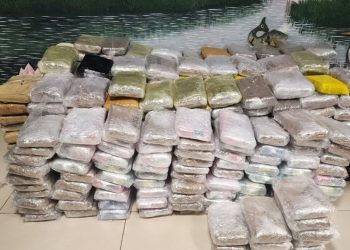 Casal é preso com meia tonelada de dr0gas em megaoperação da PF e PM em Manaus