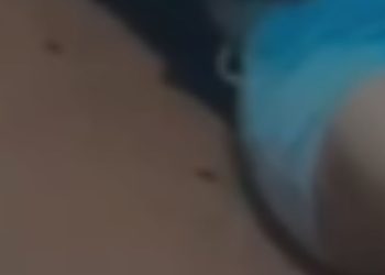 Veja: Empresária conhecida como 'Gaúcha' é ass4ssin4da a f4cad4s dentro do próprio bar em Coari