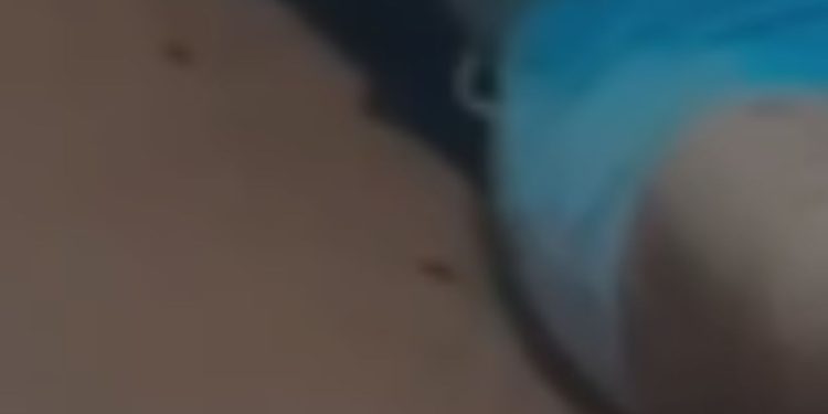 Veja: Empresária conhecida como 'Gaúcha' é ass4ssin4da a f4cad4s dentro do próprio bar em Coari