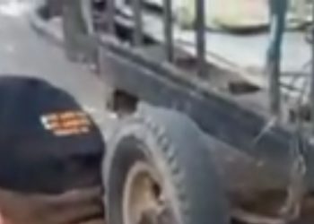 Homem é encontrado com f3riment0s de f4ca e vídeo mostra desesper0 da vítima em Humaitá