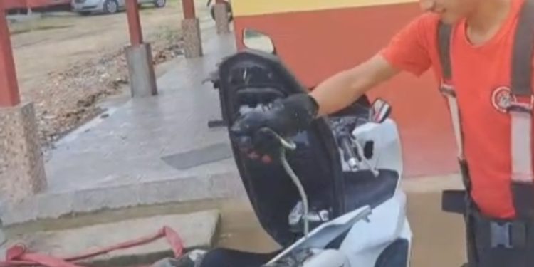 Veja: Mulher salta de moto ao encontrar cobra pronta para atacar em Tabatinga