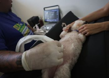 Maior Hospital Público Veterinário da América Latina é inaugura em Manaus