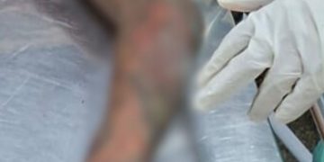 Vulgo 'Belisca' m0rr3 ao confr0nt4 policiais militares no Braga Mendes; veja