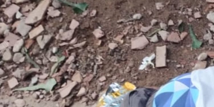 Tir0s nas costas: Homem conhecido como 'Pato' m0rr3 após entrar em beco em Manaus