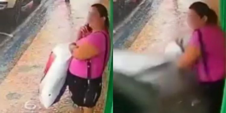 Vídeo: Mulher é lançada contra vitrine após ser ating1da por carro que perdeu o controle