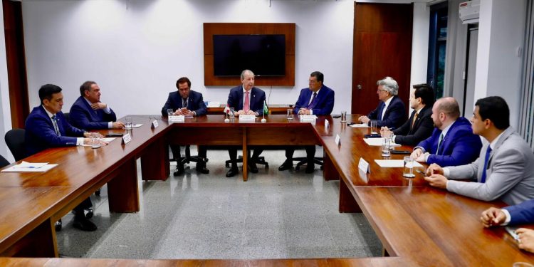 Durante a reunião, realizada em Brasília, os parlamentares trataram da priorização de investimentos estratégicos para o Amazonas. Foto: Ariel Costa