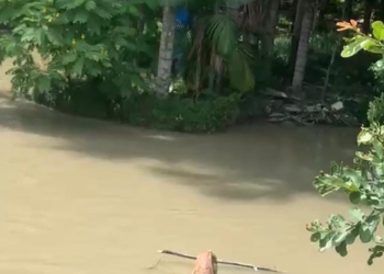 A vítima, ainda não identificada, estava amarrada a um pedaço de madeira. Foto: Reprodução