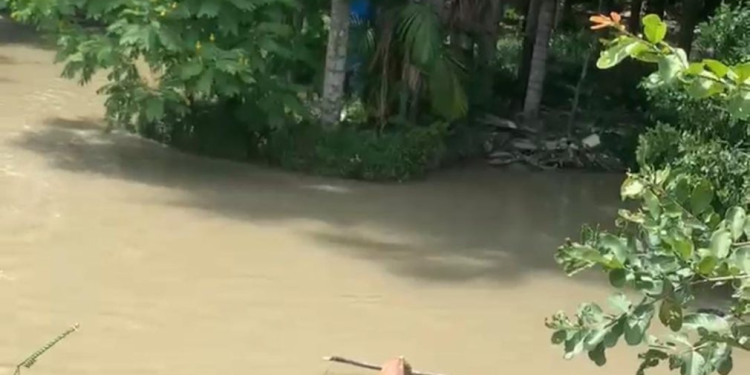 A vítima, ainda não identificada, estava amarrada a um pedaço de madeira. Foto: Reprodução