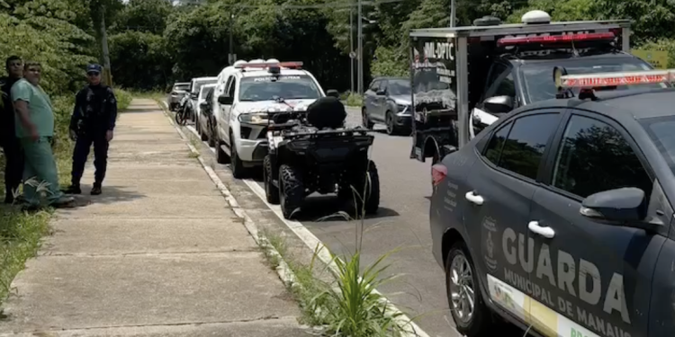 A descoberta ocorreu quando moradores que caminhavam pela rua Octávio Meleza da Câmera. Foto: Divulgação