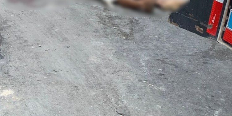 O crime ocorreu na tarde desta quarta-feira (12). Foto: Reprodução