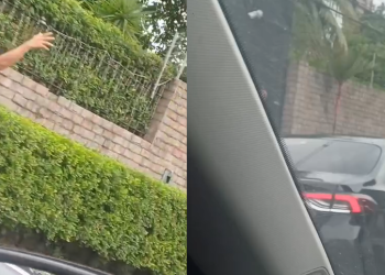 O fato ocorreu em plena avenida Mário Ypiranga, Zona Centro-Sul de Manaus. Foto: Reprodução