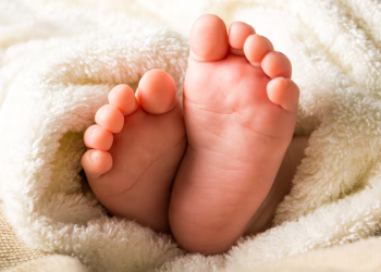 O corpo deu entrada no IML. Foto: Reprodução/Internet