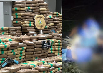 Somando essa apreensão às mais recentes do Denarc, o prejuízo ao narcotráfico está estimado em R$ 44,4 milhões. Foto: Lyandra Peres e Beatriz Sampaio/PC-AM