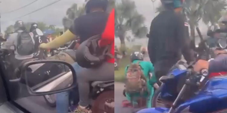 A cena fez com que vários motoristas reduzissem a velocidade. Foto: Reprodução