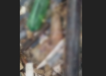 As autoridades vão investigar o caso para tentar identificar a vítima. Foto: Reprodução