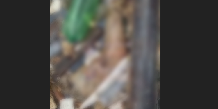 As autoridades vão investigar o caso para tentar identificar a vítima. Foto: Reprodução