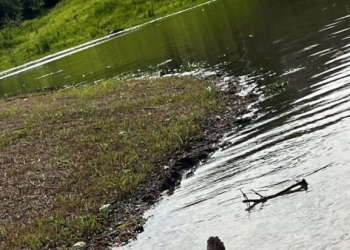 O cadáver vestia short preto e blusa vermelha. Foto: Reprodução