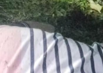 Vídeo: Homem recém-saído da prisão é m0rt0 a t1r0s no CSU da Compensa