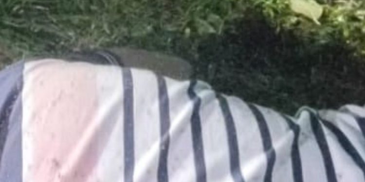 Vídeo: Homem recém-saído da prisão é m0rt0 a t1r0s no CSU da Compensa