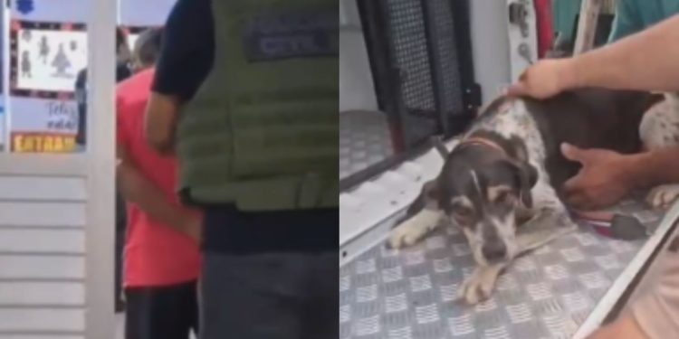Homem de 60 anos é pres0 após ser flagrado em vídeo abus4nd0 de cachorro no Amazonas