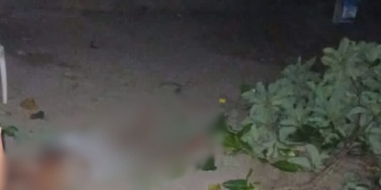 Paraense despenca, fica inconsciente e foge após tentar furt4r abacates