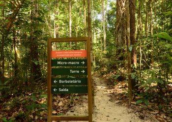Os visitantes foram abordados e levados até os banheiros masculino e feminino do local. Foto: Reprodução
