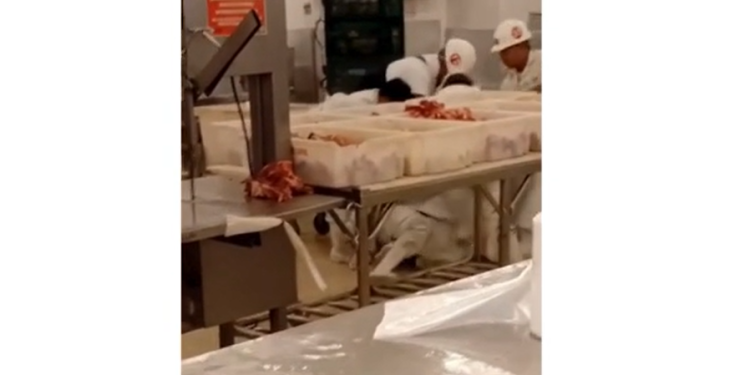 As imagens mostram os dois homens no chão. Foto: Reprodução