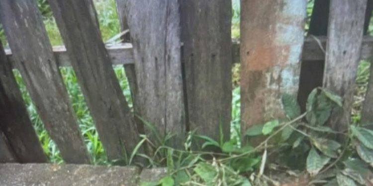 As autoridades locais devem dar início às investigações para esclarecer as circunstâncias do crime. Foto: Reprodução