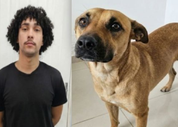 Apesar da confissão, ele não foi preso em flagrante. Foto: Divulgação