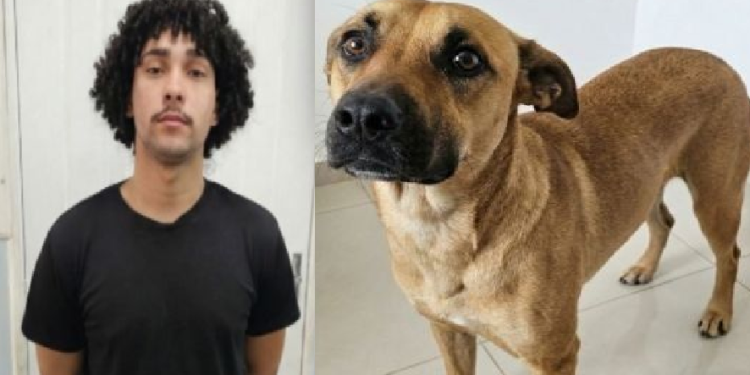 Apesar da confissão, ele não foi preso em flagrante. Foto: Divulgação