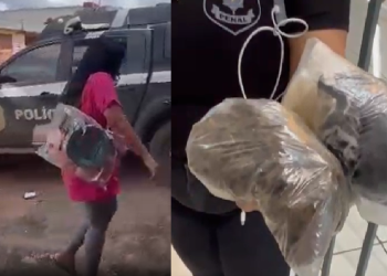 Ela foi conduzida ao Departamento de Flagrantes da Polícia Civil, onde o caso foi registrado. Foto: Reprodução