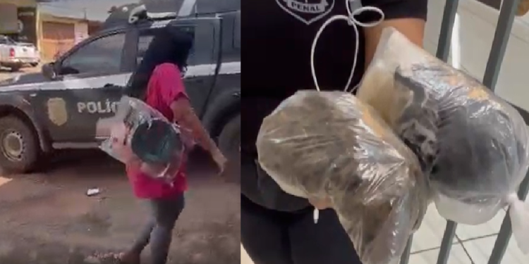 Ela foi conduzida ao Departamento de Flagrantes da Polícia Civil, onde o caso foi registrado. Foto: Reprodução