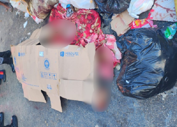 O corpo estava envolto em um lençol. Foto: Reprodução