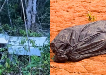 A aeronave seria do Pará e a queda também será investigada pela Polícia Civil do município. Foto: Reprodução