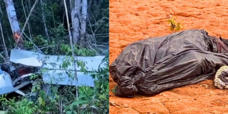 A aeronave seria do Pará e a queda também será investigada pela Polícia Civil do município. Foto: Reprodução