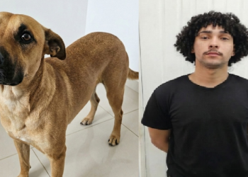 Mauro gravou vídeos e fotos com o próprio celular. Foto: Reprodução