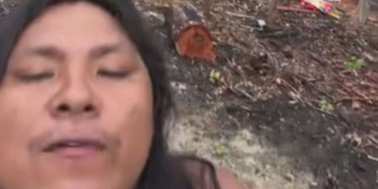 Influenciador indígena ataca ONGs, Funai e Ibama e anuncia derrubada de área: 'Ninguém vai me impedir'