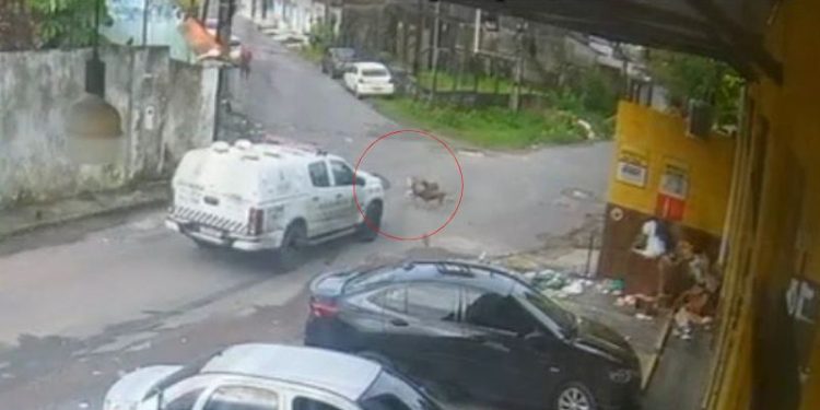 A decisão foi proferida durante audiência de custódia na segunda-feira (2). Foto: Reprodução