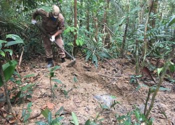 As buscas devem continuar ao longo do dia. Foto: Reprodução