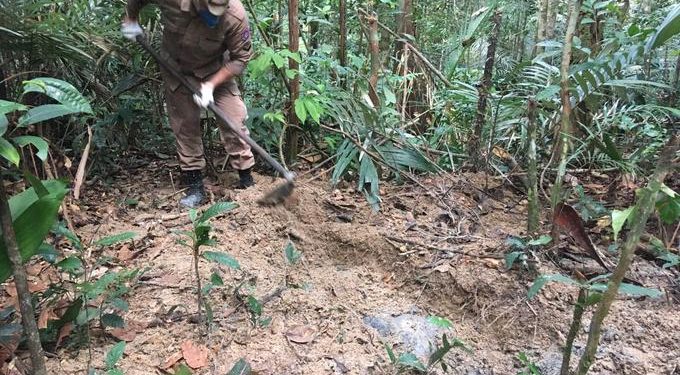 As buscas devem continuar ao longo do dia. Foto: Reprodução