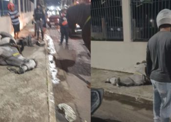 Vídeo: Fogos assustam cavalos e policial cai durante perto do Sambódromo