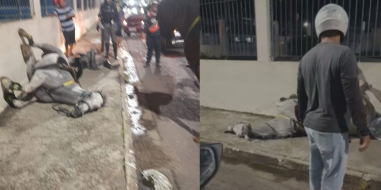 Vídeo: Fogos assustam cavalos e policial cai durante perto do Sambódromo